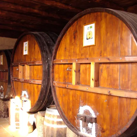 Arratzain Casa rural *