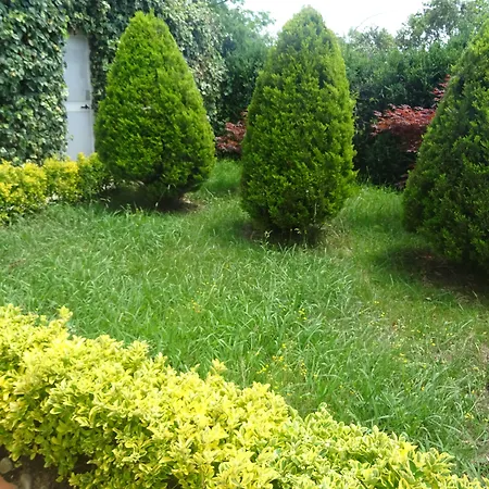 Arratzain