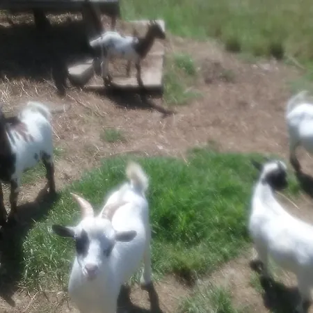 Séjour à la campagne Arratzain