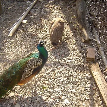 Arratzain Усурбиль