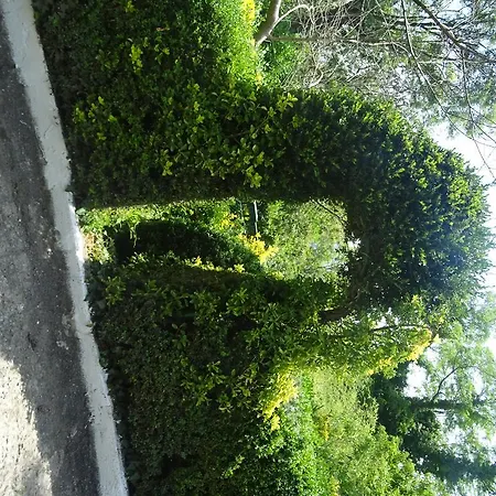 Arratzain Usúrbil