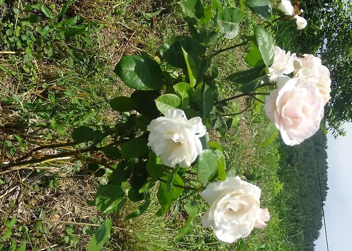 Εξοχικό σπίτι Arratzain